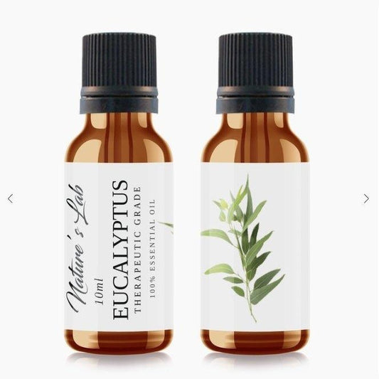 Eucalyptus Aromatherapy Essential Oil 10ml - BBPD