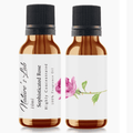 Sophisticated Rose Fragrance Oil 10ml - BBPD